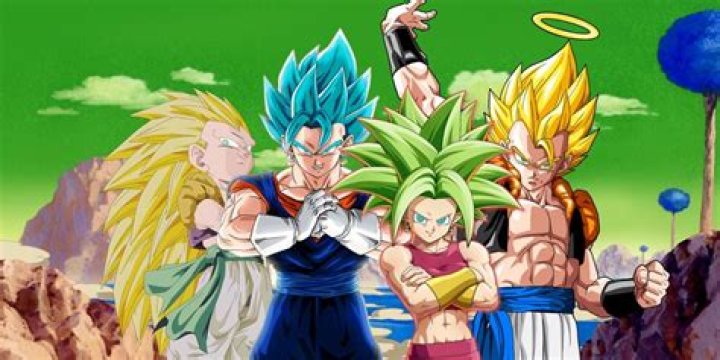 Who controls the Vegito fusion?