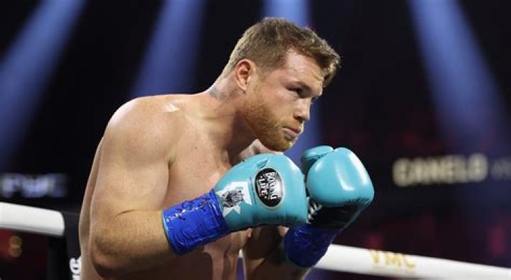 Who has Canelo lost?