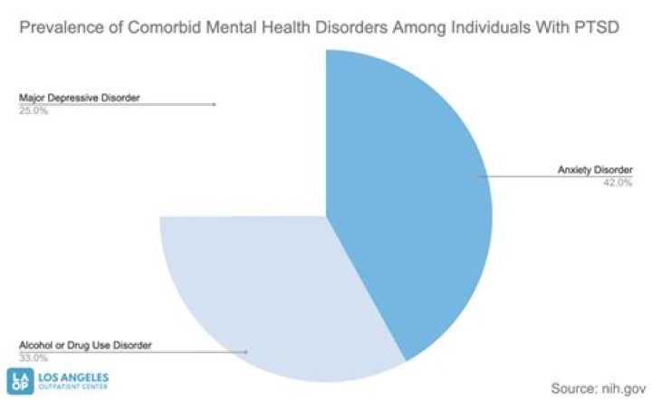 Who has the highest PTSD?