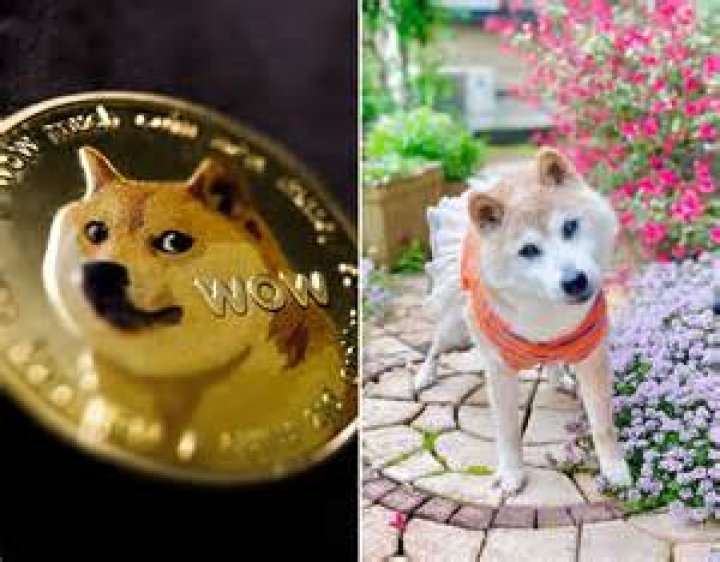 Who invented Dogecoin?