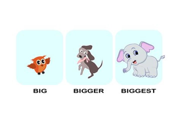 Who is bigger Heinz or Campbell's?