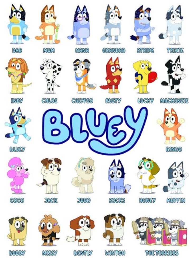 Who is Bluey named after?