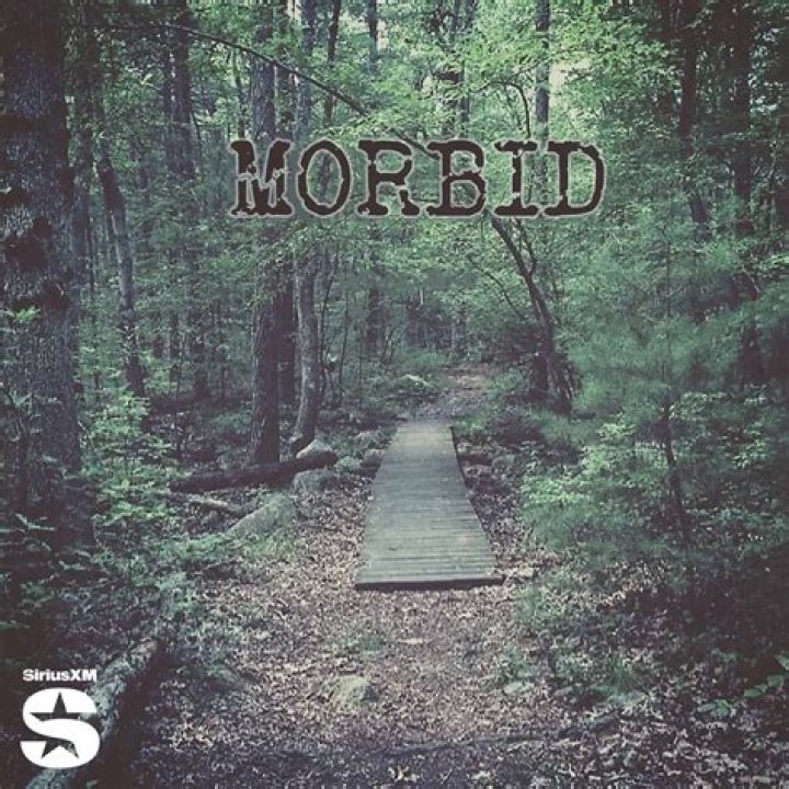 Who is Drew on morbid?
