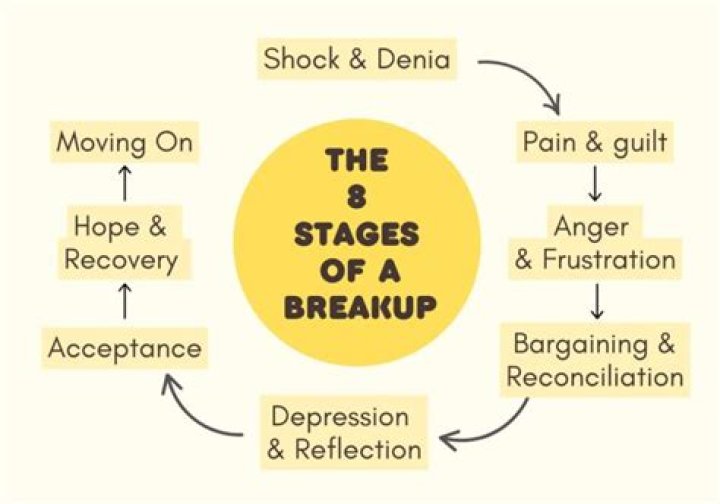 Who keeps the cat in a breakup?