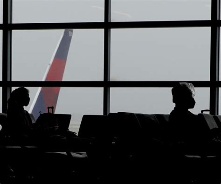 Who punched flight attendant?