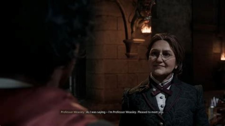 Who was the Muggle that died in Chamber of Secrets?