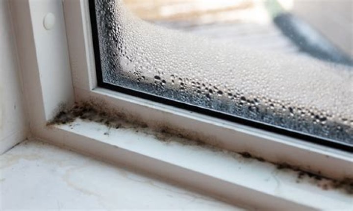 Why am I getting black mold around my windows?