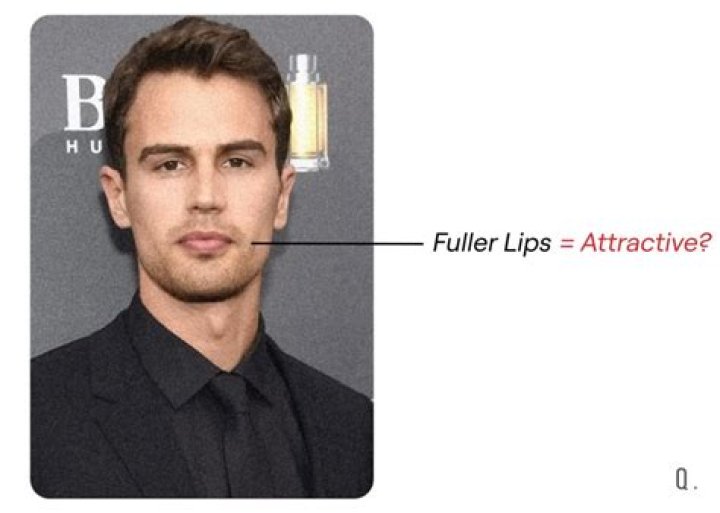 Why are ENFPs so attractive?