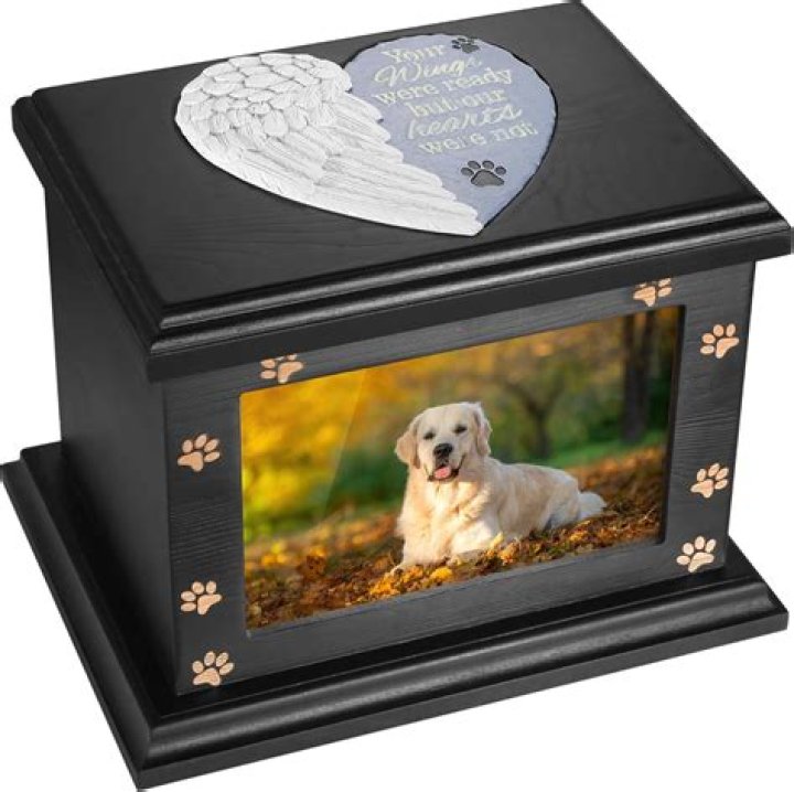 Why are my dogs ashes black?