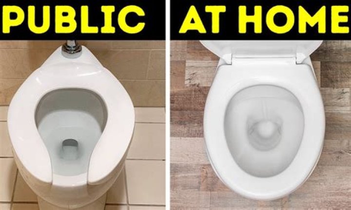 Why are public toilets shaped like Au?