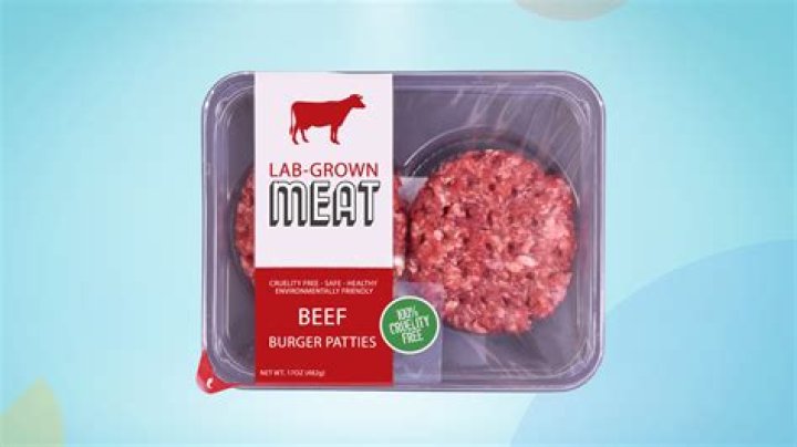 Why are vegans against lab-grown meat?