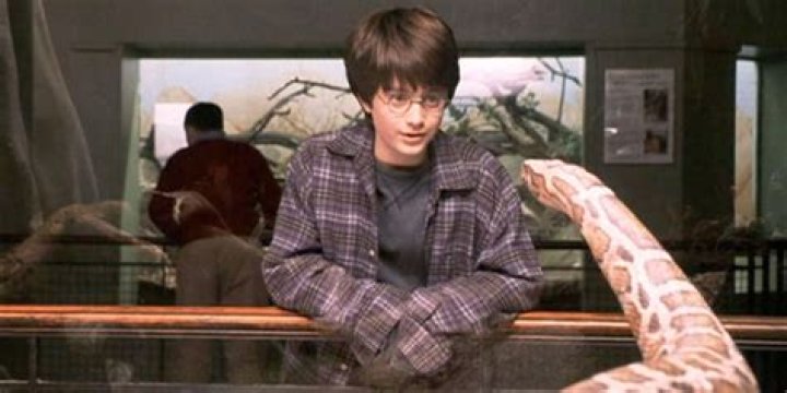 Why can Ron Weasley speak Parseltongue?