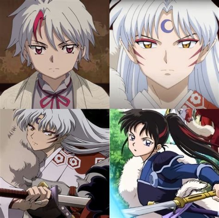Why did Sesshomaru get Tenseiga?