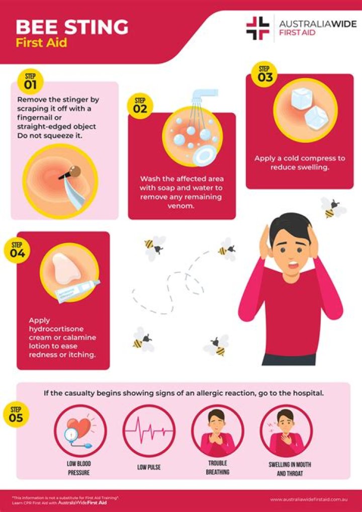 Why do bee stings get worse each time?