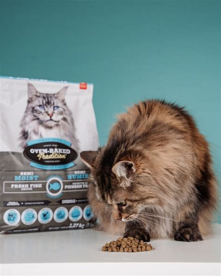 Why do cats tears?