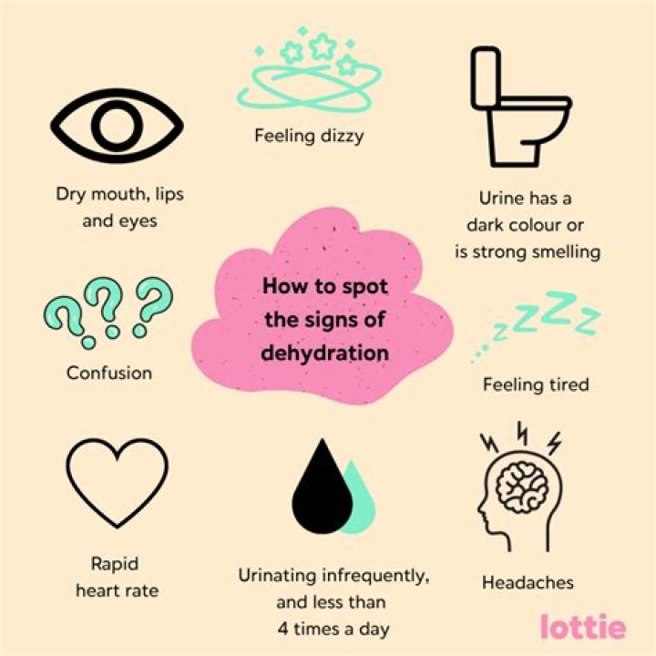 Why do elderly get dehydrated quickly?