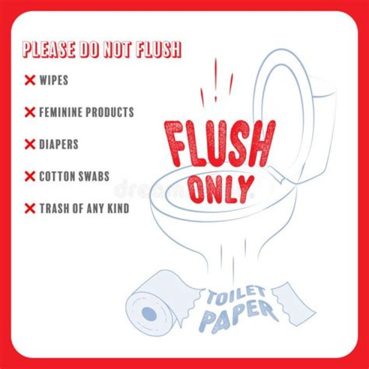 Why do Europeans not flush toilet paper?