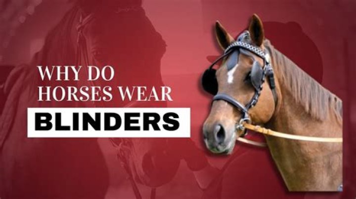 Why do horses have 2 names?