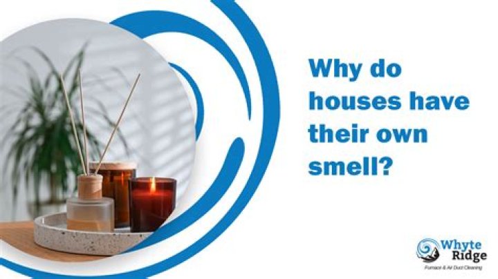 Why do houses with cats smell?