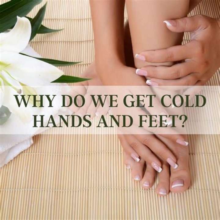 Why do I have cold hands and feet?