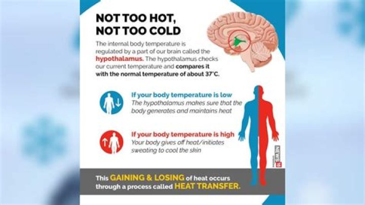 Why do legs not get cold?