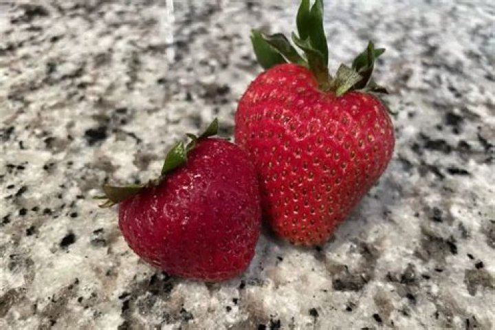 Why do my strawberries have no flavor?