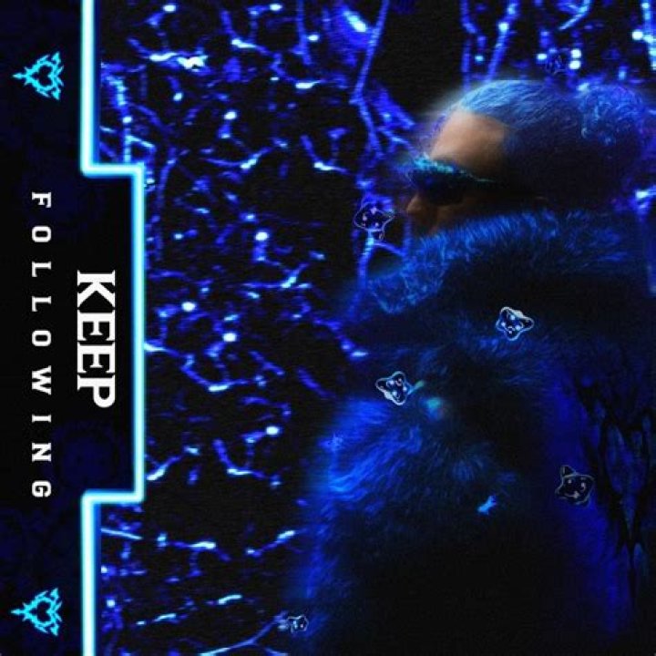 Why does a fox keep following me?