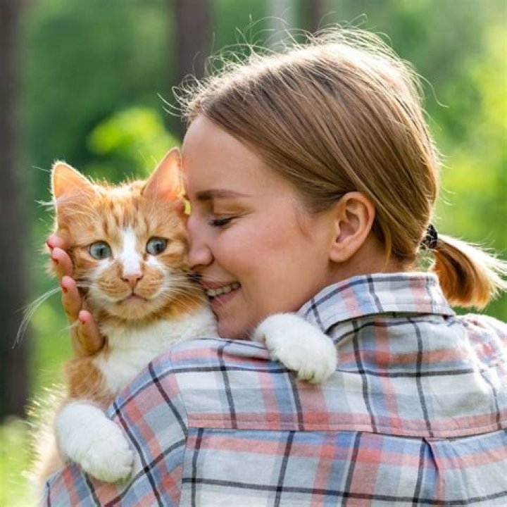 Why does my cat sit on me in the morning?