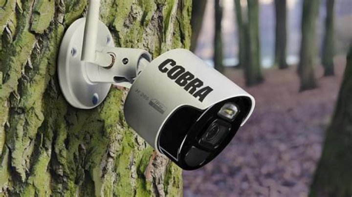 Why does my Cobra security camera say out of range?