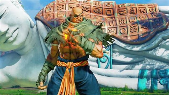Why does Sagat say Tiger?
