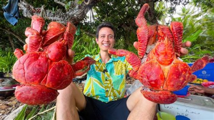 Why is crab called Oscar?