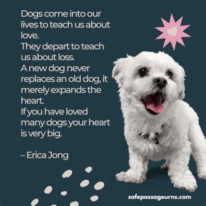 Why is losing a dog so painful?