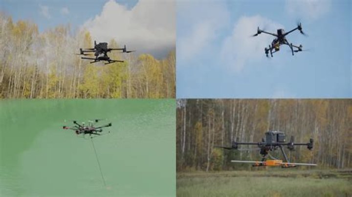 Why is my queen laying drones?