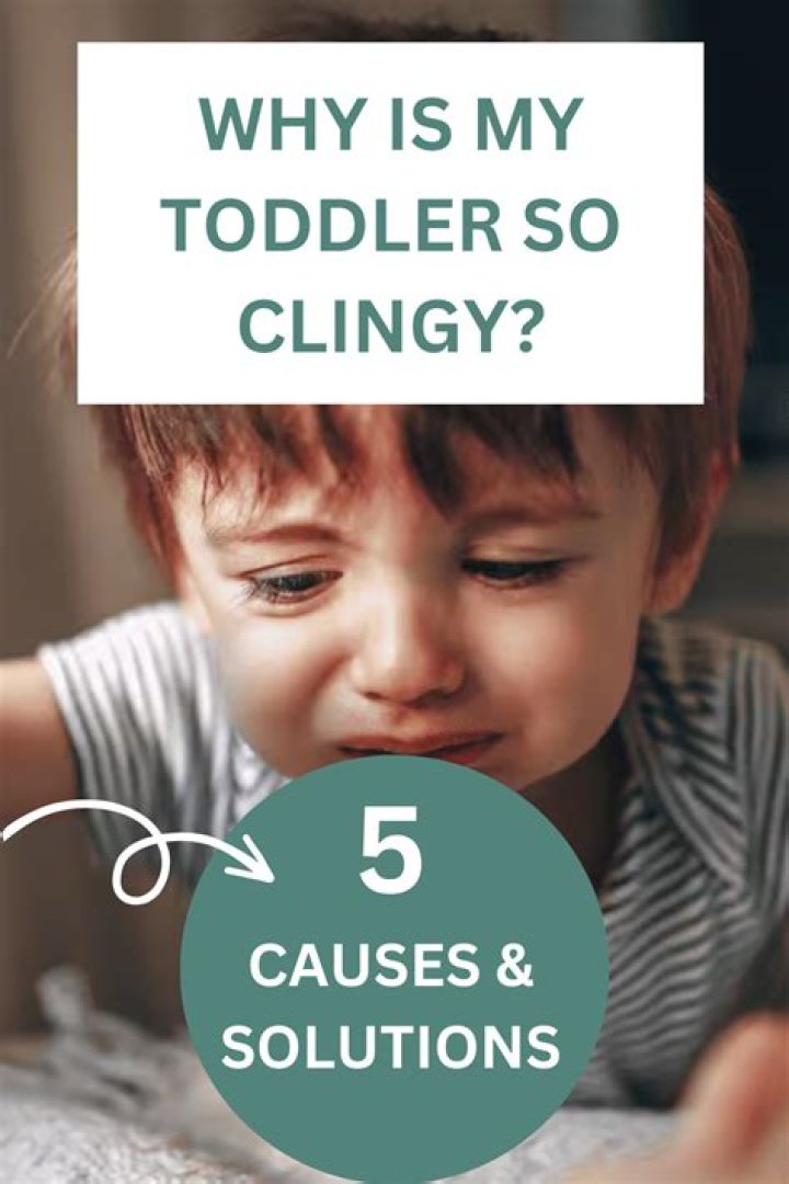 Why is my toddler so clingy?