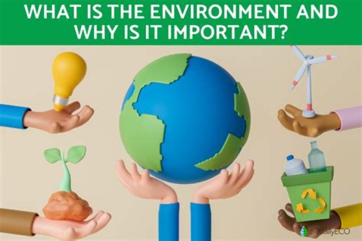 Why is mystery important?