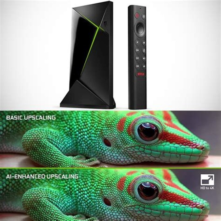 Why is Shield rated TV 14?