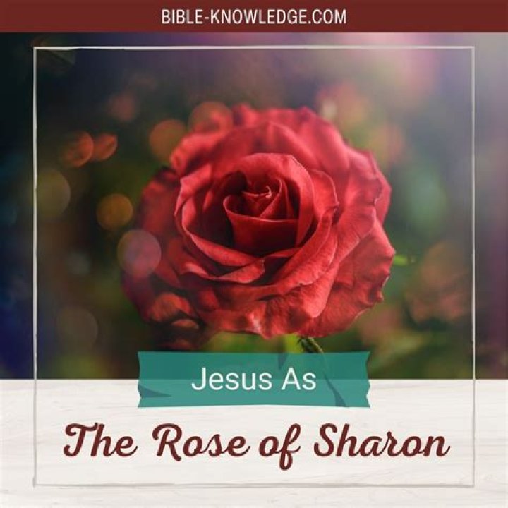 Why is the rose of Sharon significant?