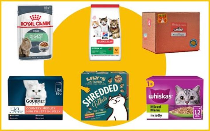 Why is there a cat food shortage right now?