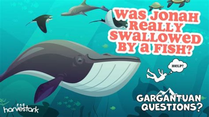 Why was Jonah swallowed by a fish?