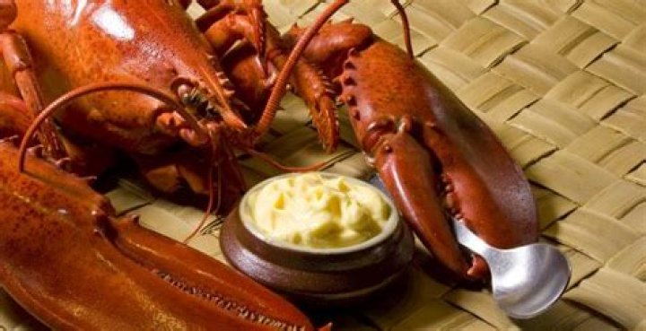 Why was lobster so cheap?