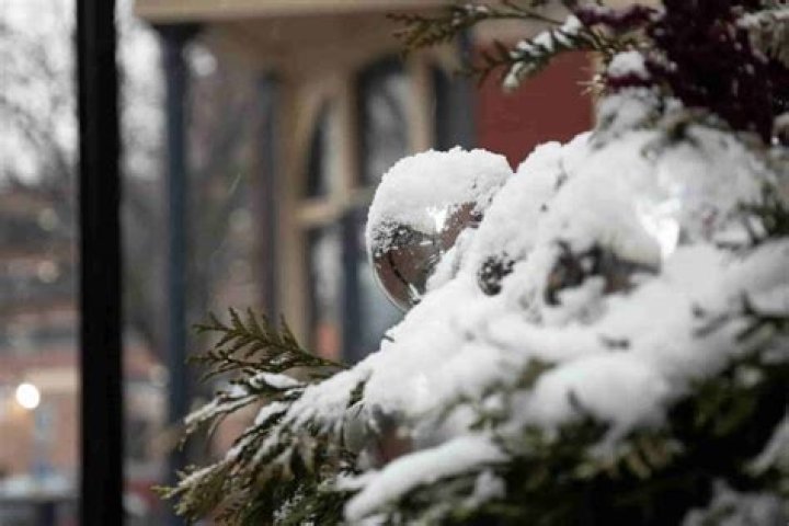 Will a covered porch protect plants from frost?