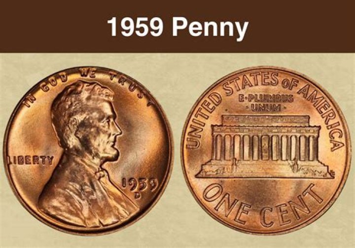 Will a penny and a feather fall at the same rate?