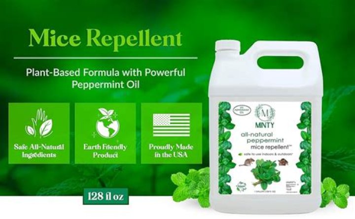 Will peppermint essential oil repel mice?