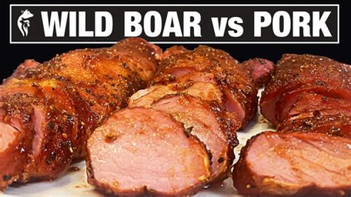 Will pigs eat meat?