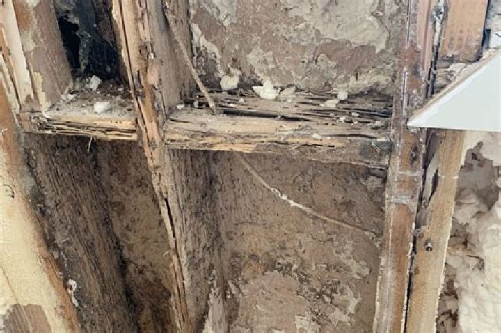 Will termites just go away?