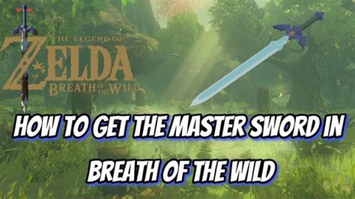 Will the master sword be in BOTW 2?