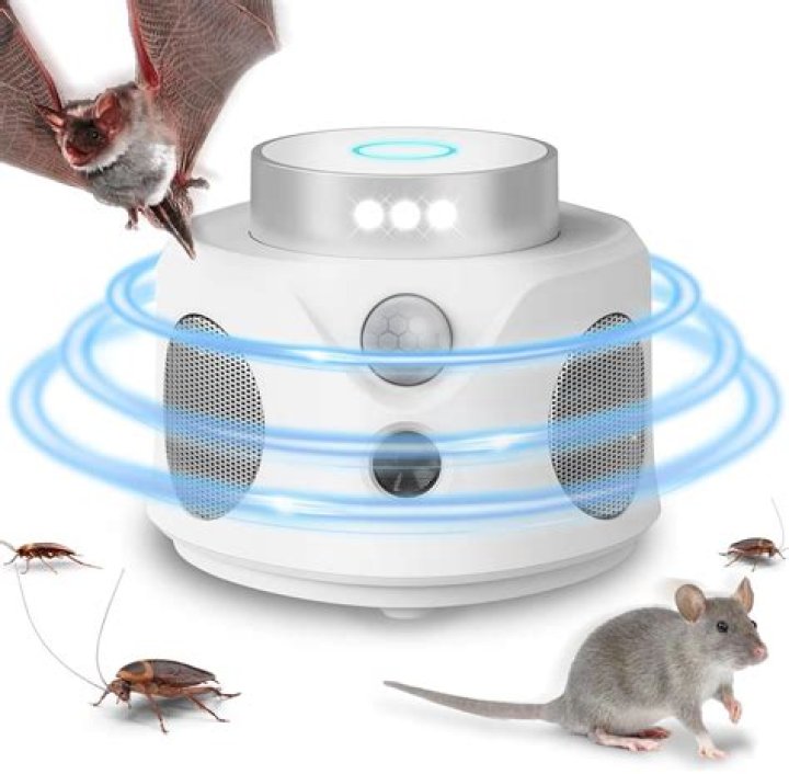 Will Vicks deter mice?