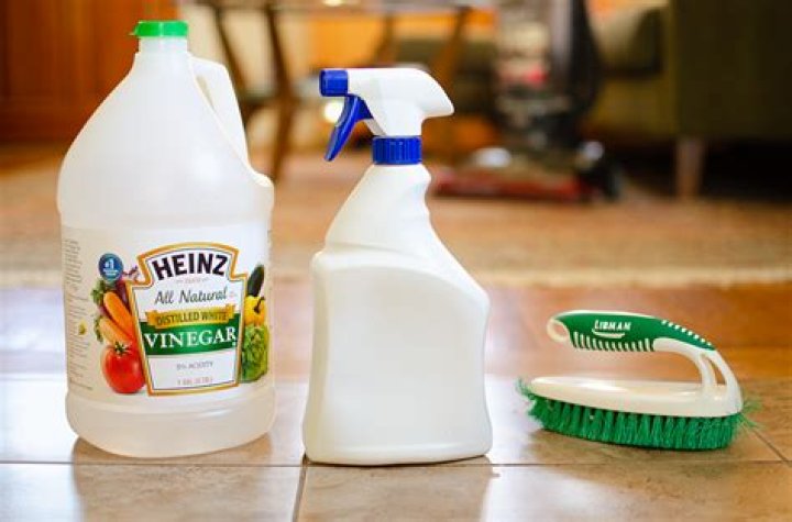 Will vinegar repel raccoons?